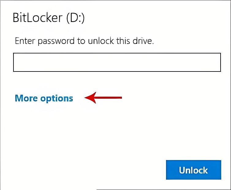 o cung bi bitlocker 2