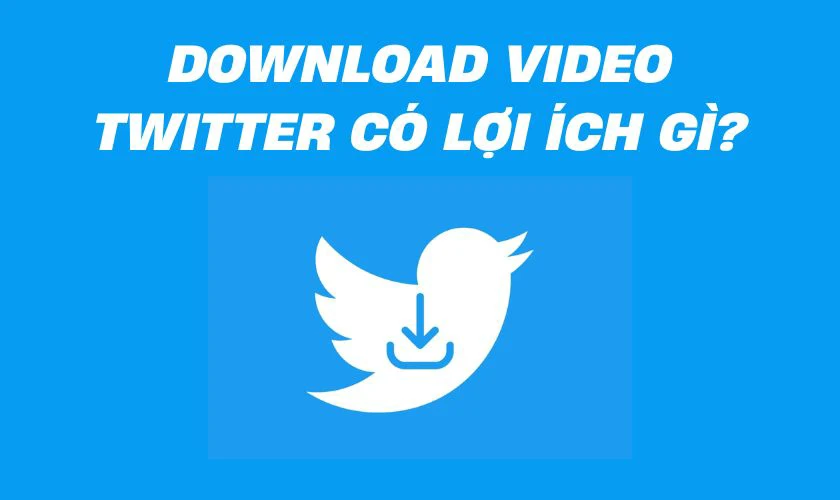 tai video twitterx 8